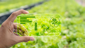 Agri DPI