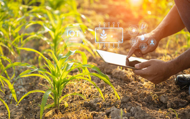 precision agriculture