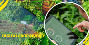 DCS Digital Crop Survey